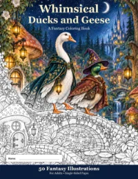 Cover: a goose in a cloak and a duck mage in a line-art fantasy village, partly coloured in.